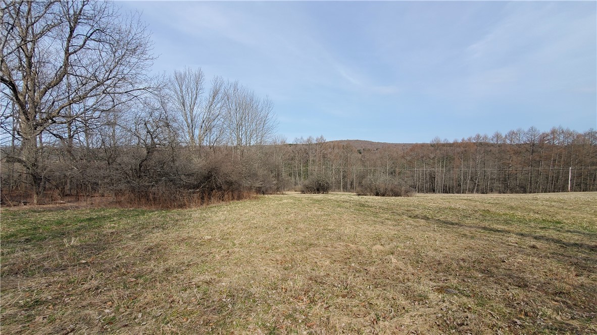 Lot 3 Goddards Road, New Lisbon, New York image 25