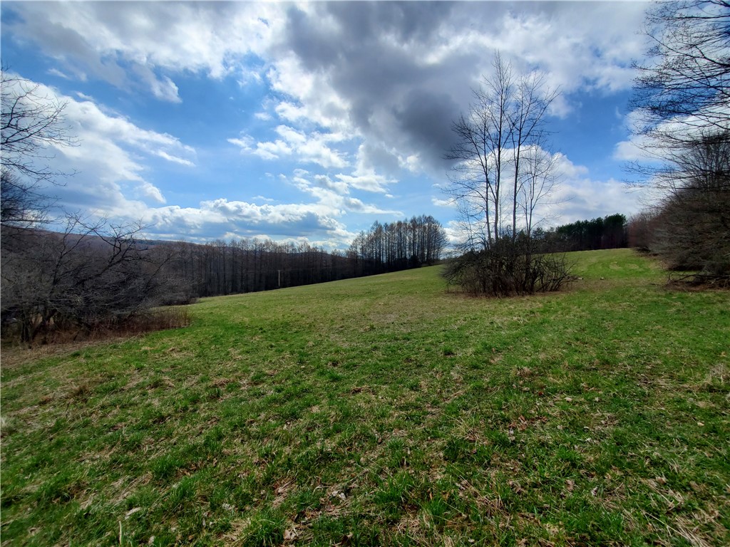 Lot 3 Goddards Road, New Lisbon, New York image 6