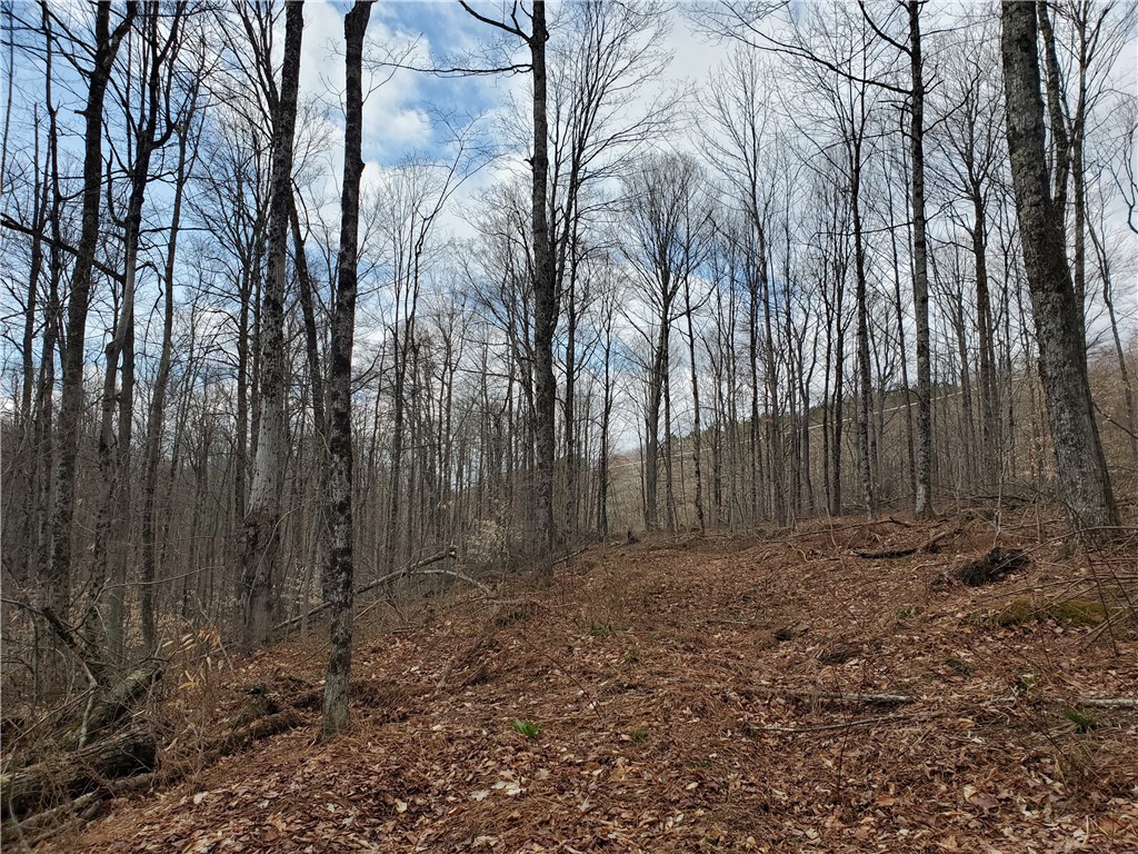 Lot 3 Goddards Road, New Lisbon, New York image 17