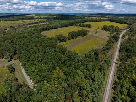 Vacant Land For Sale - 8015 Peacock Road<br/> Bath, NY 14810