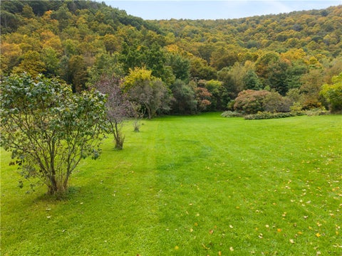 Vacant Land For Sale - 000 West Avenue<br/> Cohocton, NY 14808