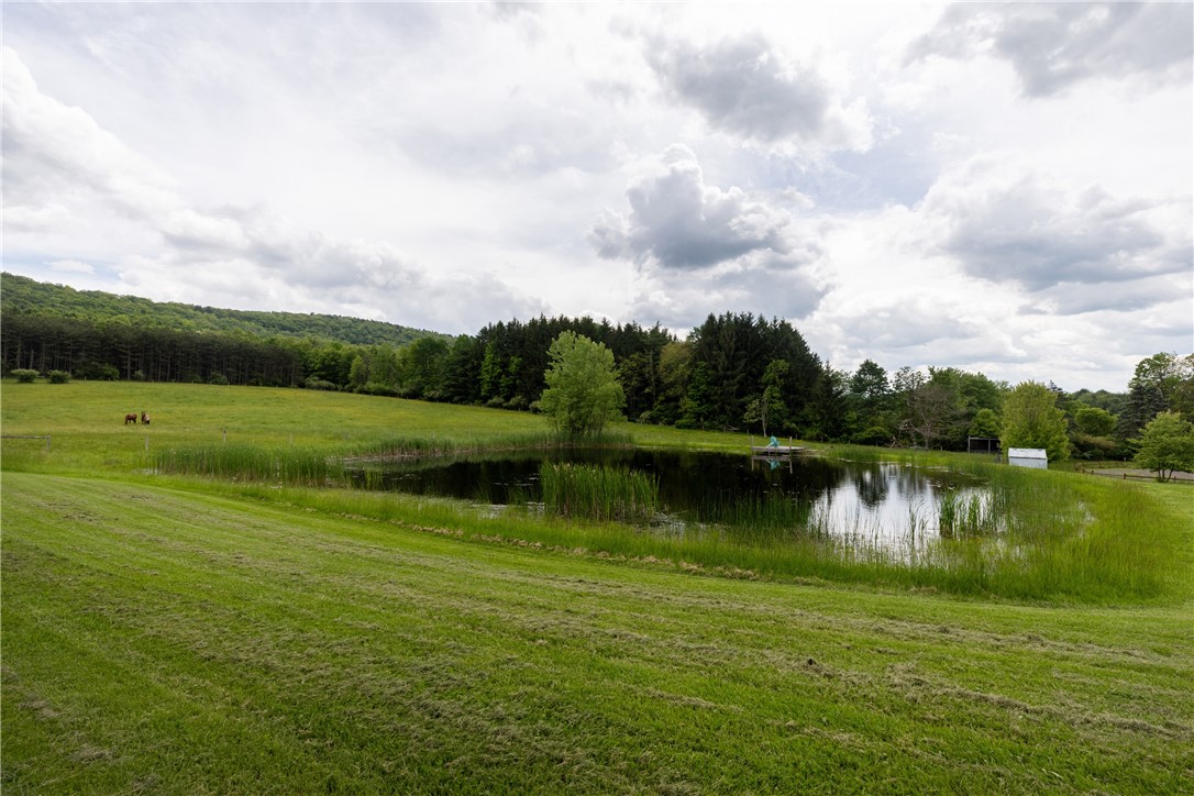 676 County Road 64, Big Flats, New York image 45