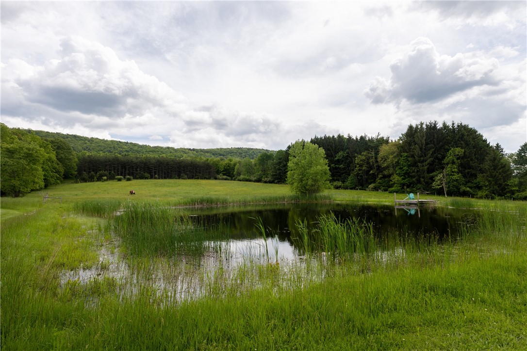 676 County Road 64, Big Flats, New York image 44
