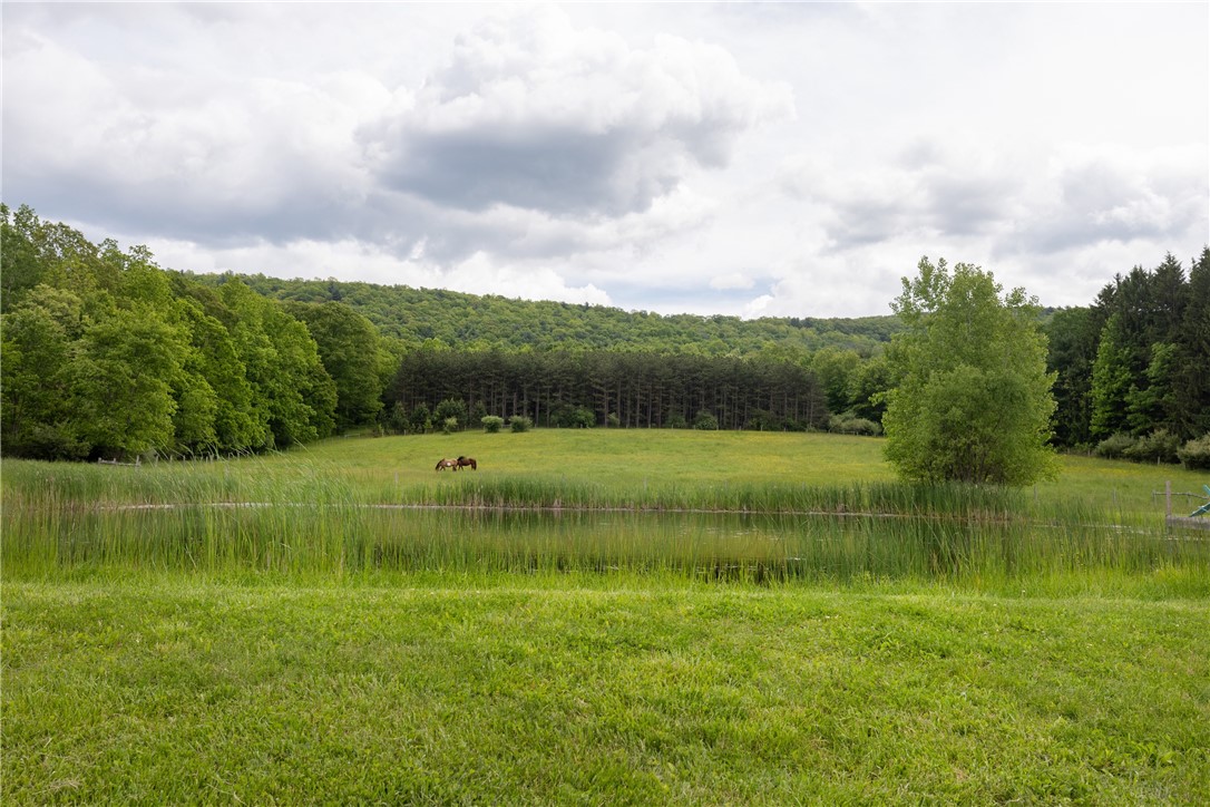 676 County Road 64, Big Flats, New York image 43