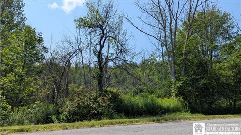 Photo of Beech Tree Road, Ashford, NY 14171 (MLS # R1707204)