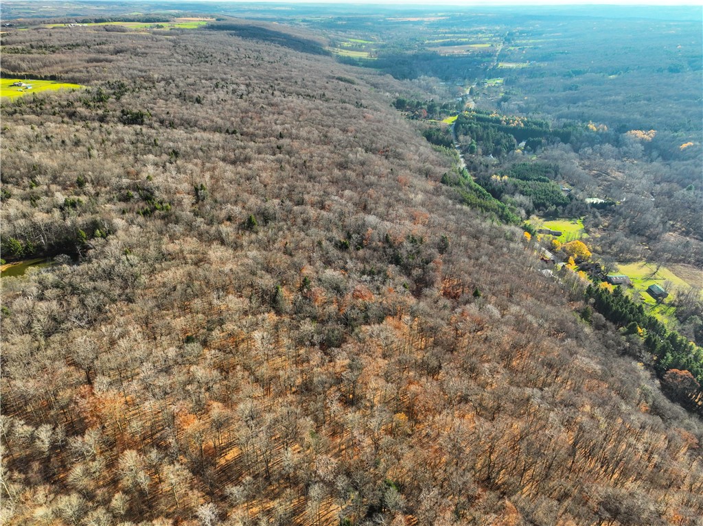 L5 Hunters Creek Road, Holland, New York image 9