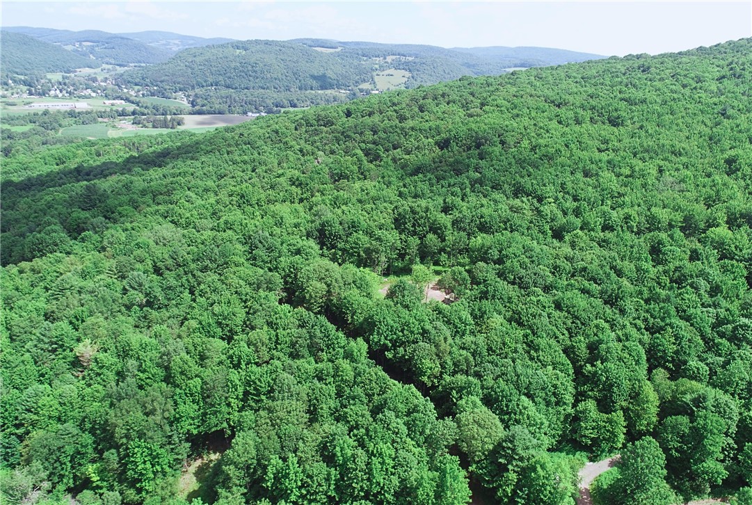 16.1 & 16.2 Scutt Mtn Road