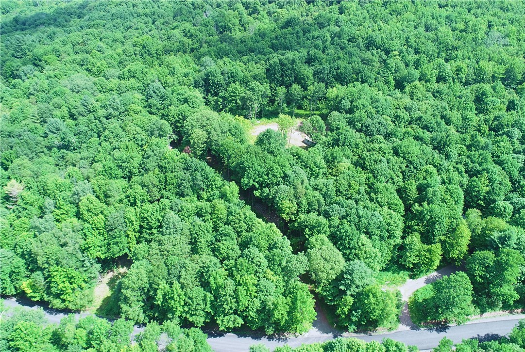 16.1 & 16.2 Scutt Mtn Road