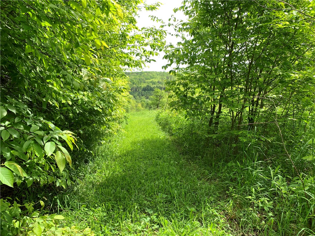 Merrill Creek Road, Marathon, New York image 29