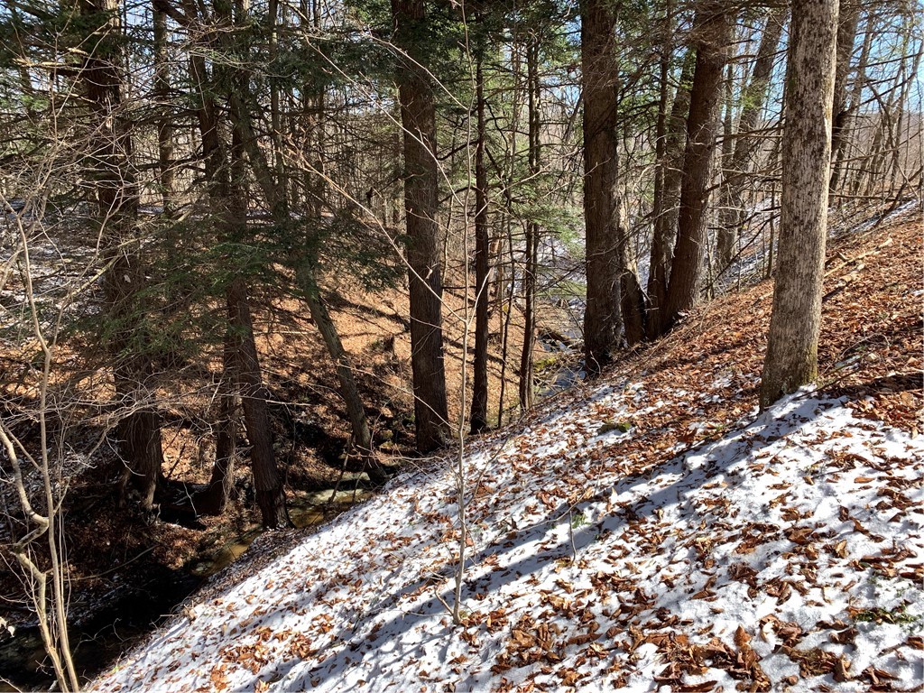 Merrill Creek Road, Marathon, New York image 18
