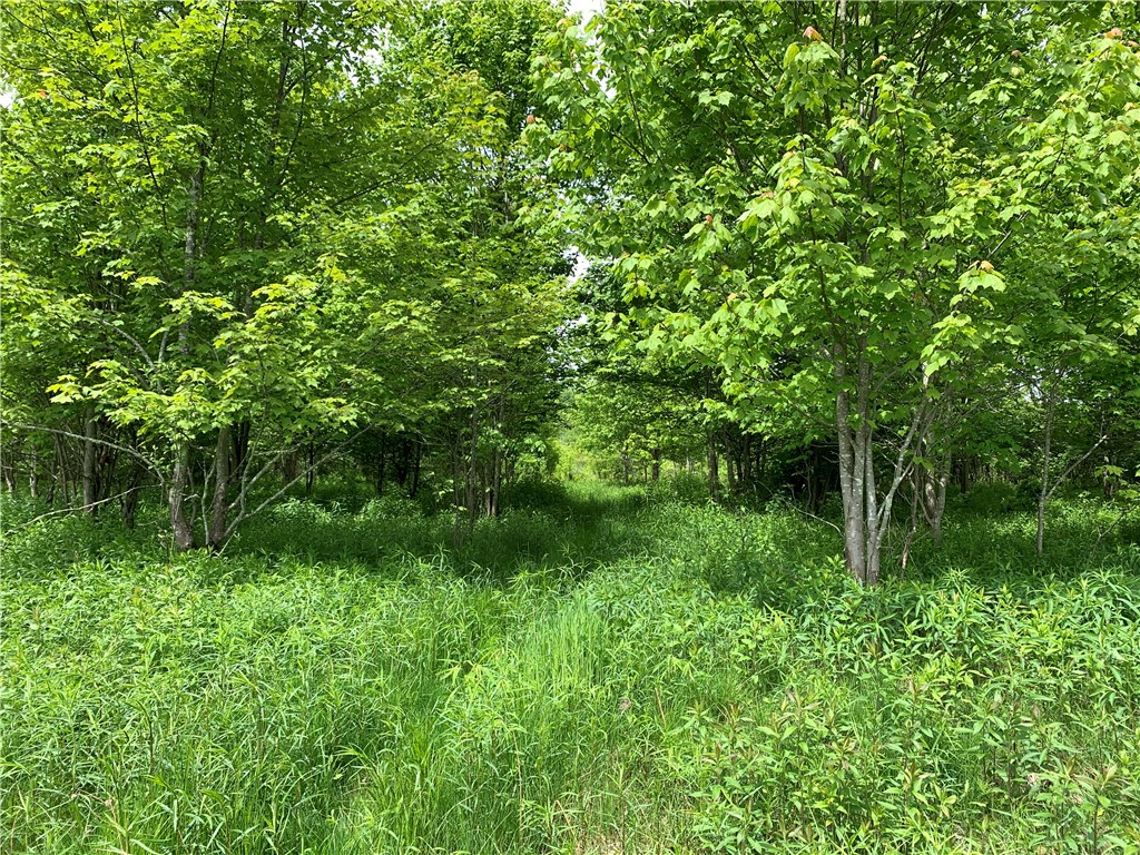 Merrill Creek Road, Marathon, New York image 33