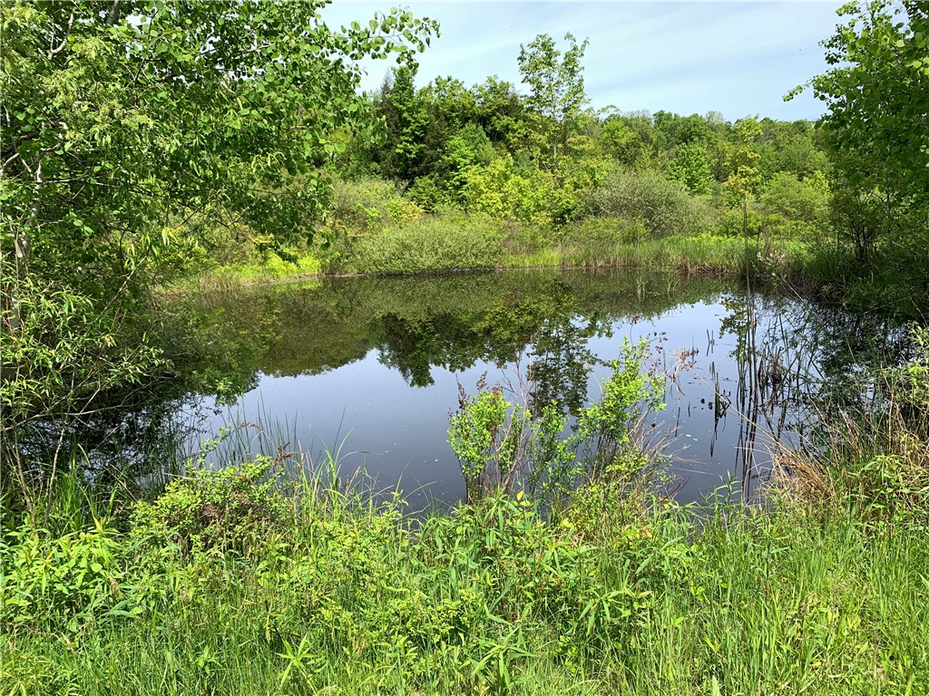 Merrill Creek Road, Marathon, New York image 28
