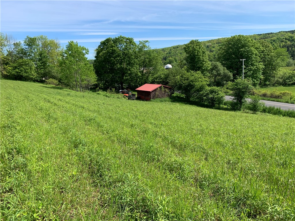Merrill Creek Road, Marathon, New York image 6