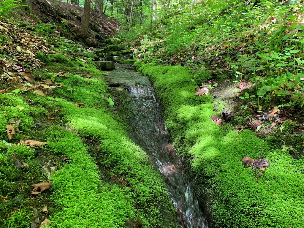 Merrill Creek Road, Marathon, New York image 20