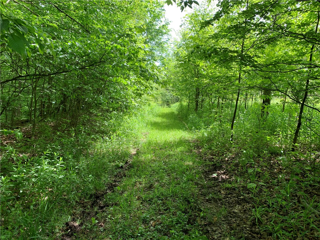 Merrill Creek Road, Marathon, New York image 23