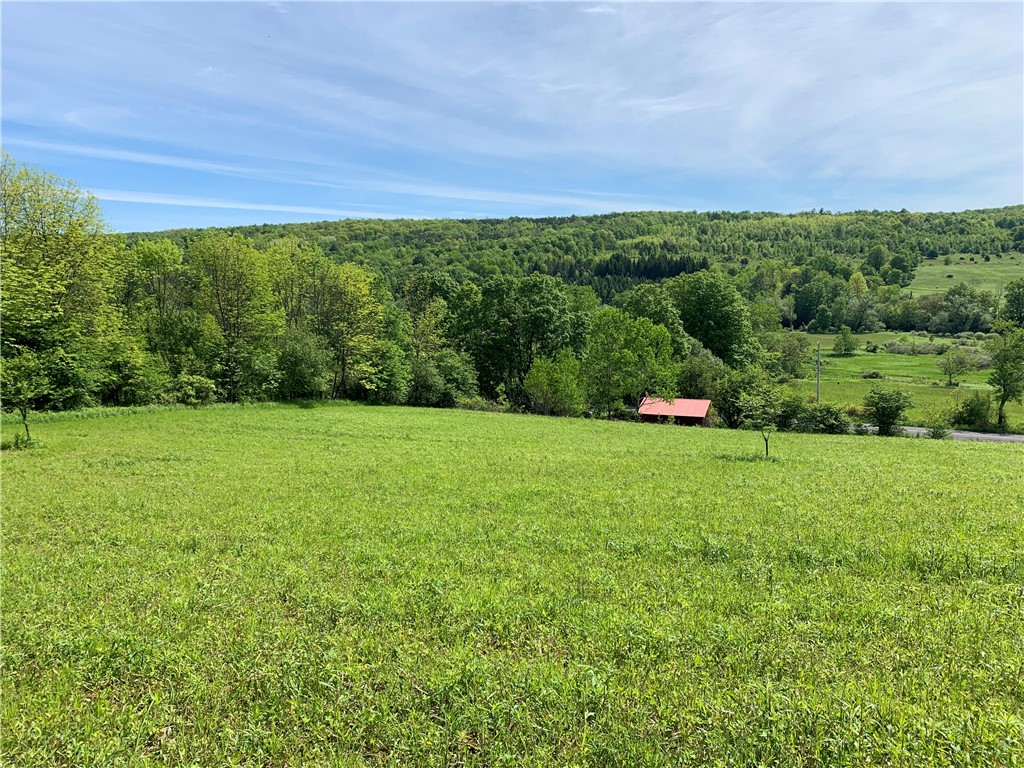 Merrill Creek Road, Marathon, New York image 13