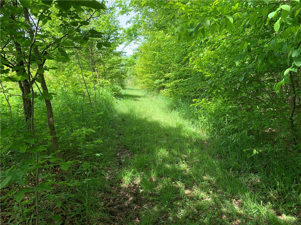 Merrill Creek Road, Marathon, New York image 7