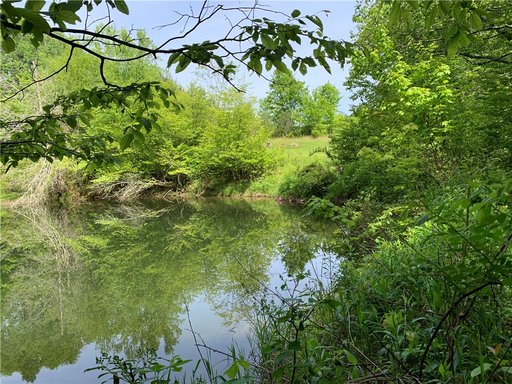 Merrill Creek Road, Marathon, New York image 25