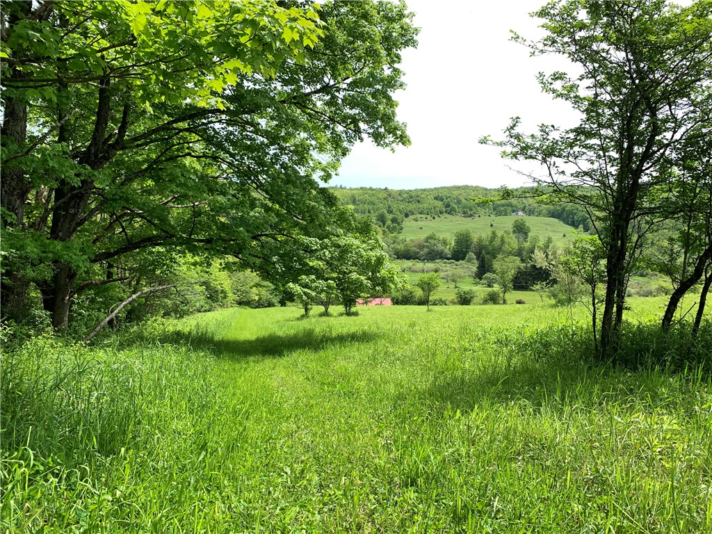 Merrill Creek Road, Marathon, New York image 5