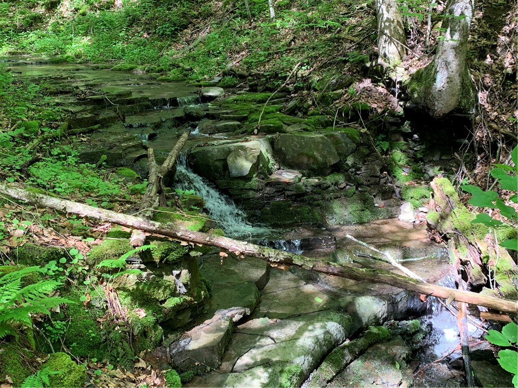 Merrill Creek Road, Marathon, New York image 14