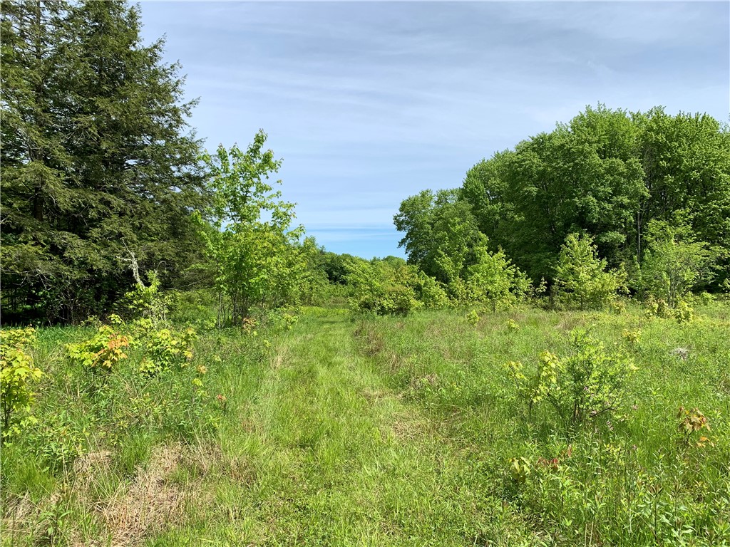 Merrill Creek Road, Marathon, New York image 8