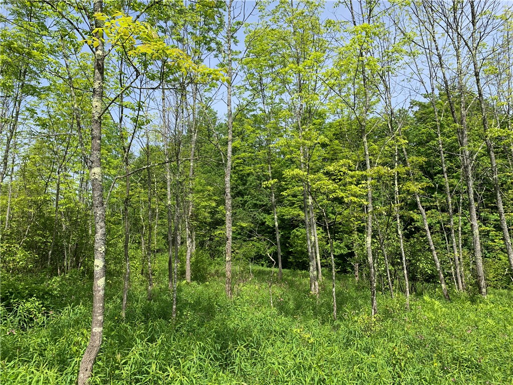 Merrill Creek Road, Marathon, New York image 19