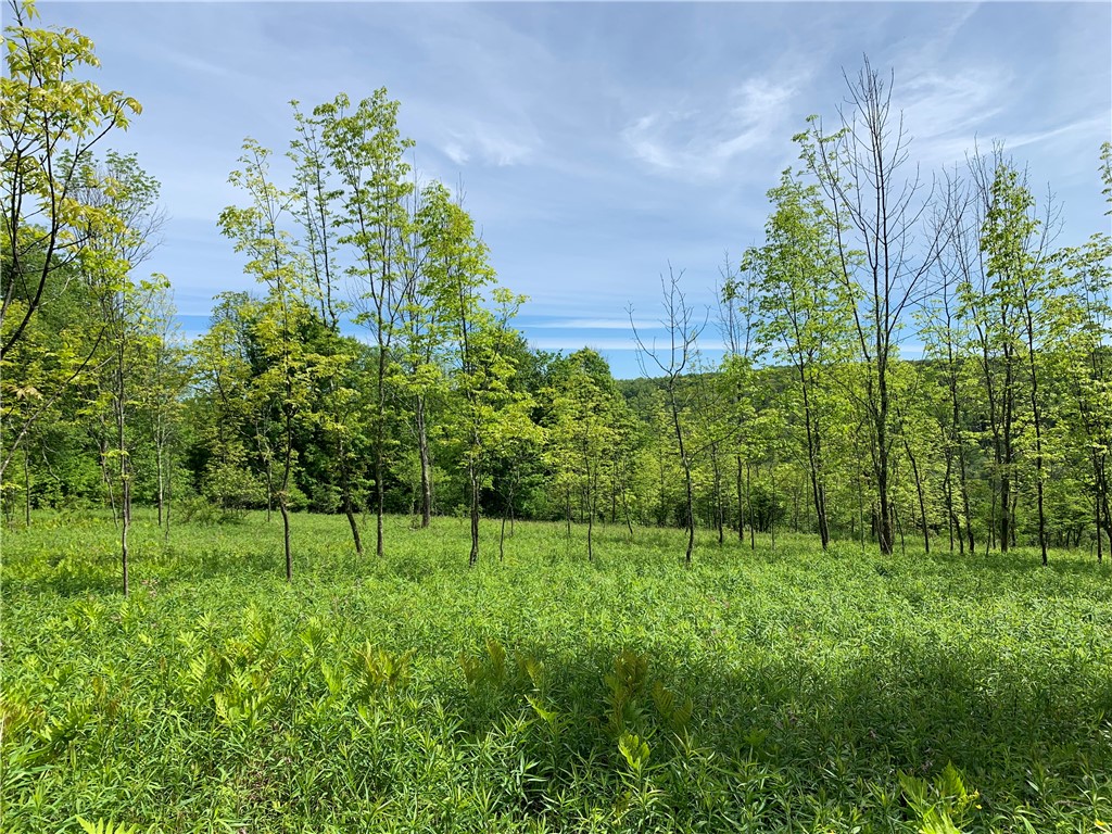 Merrill Creek Road, Marathon, New York image 16