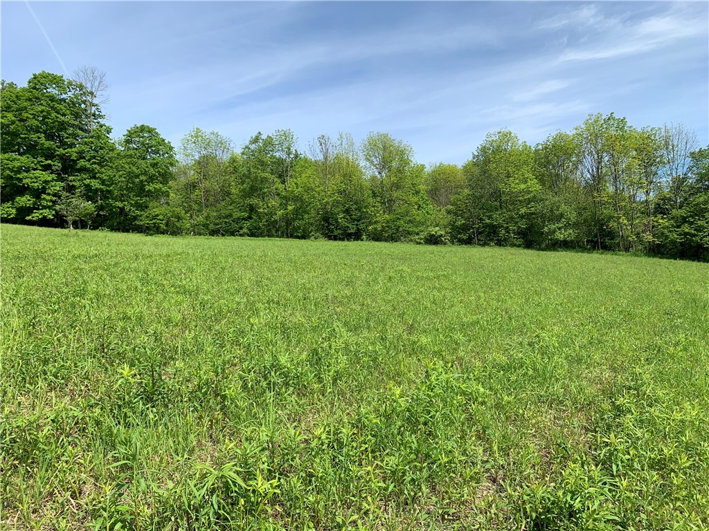 Merrill Creek Road, Marathon, New York image 9