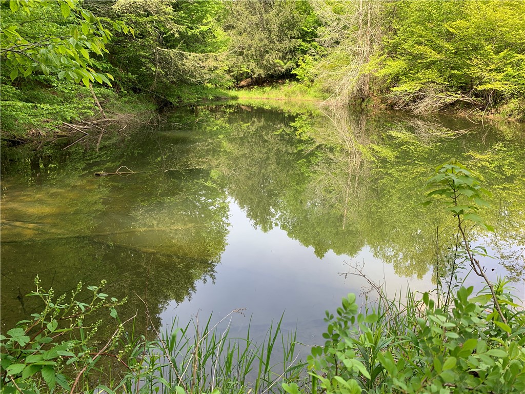 Merrill Creek Road, Marathon, New York image 24