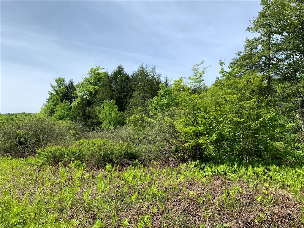 Merrill Creek Road, Marathon, New York image 31