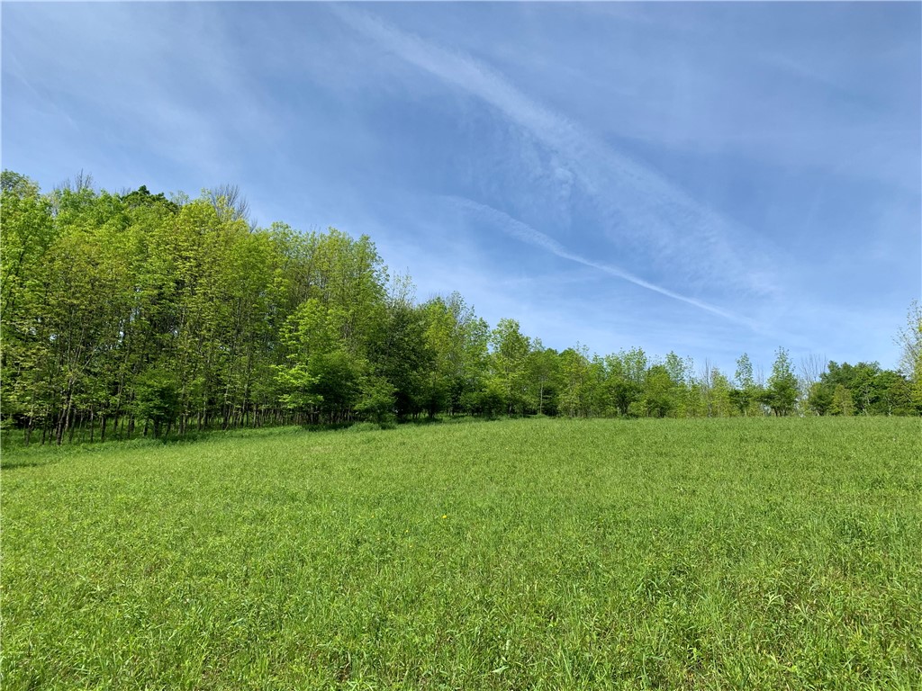Merrill Creek Road, Marathon, New York image 10