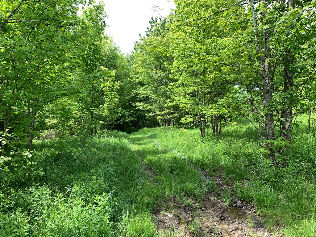 Merrill Creek Road, Marathon, New York image 34