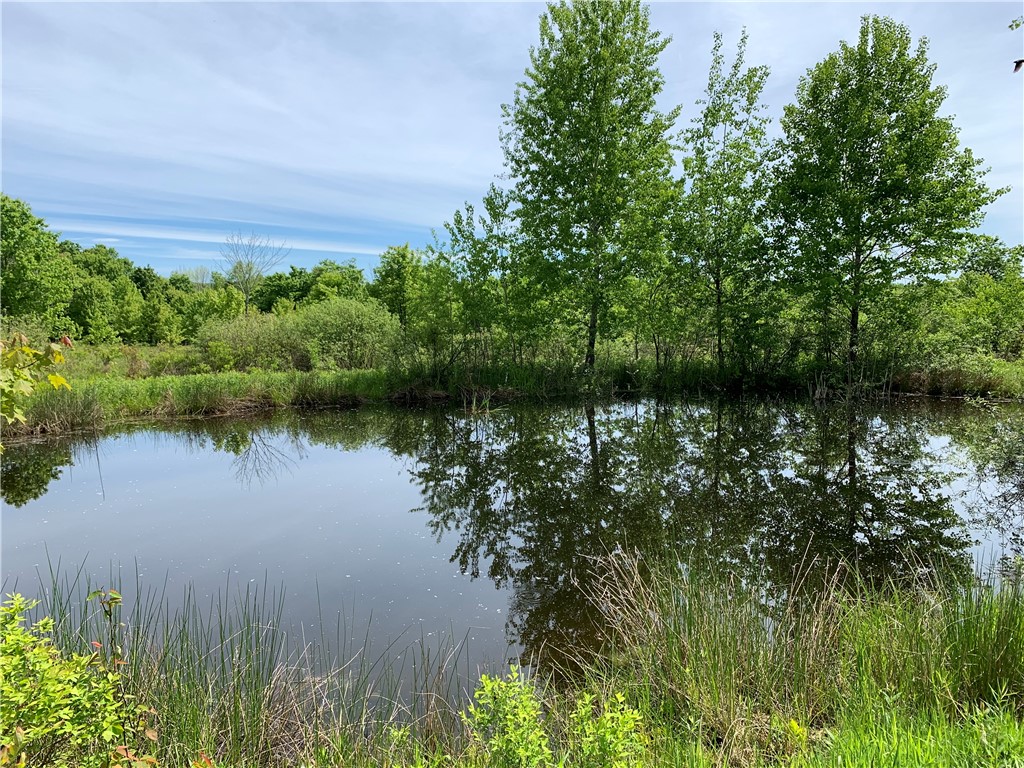 Merrill Creek Road, Marathon, New York image 27