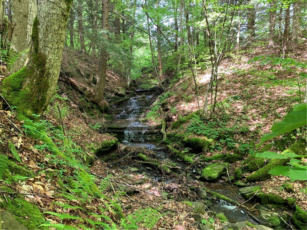 Merrill Creek Road, Marathon, New York image 21