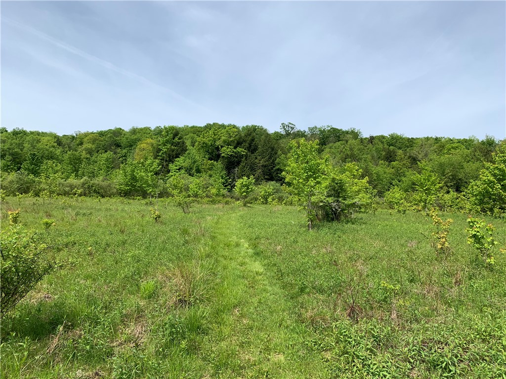 Merrill Creek Road, Marathon, New York image 32