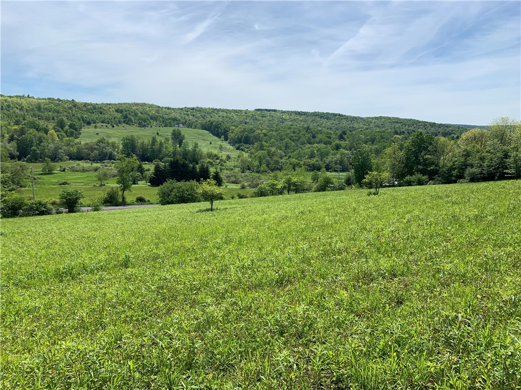 Merrill Creek Road, Marathon, New York image 12