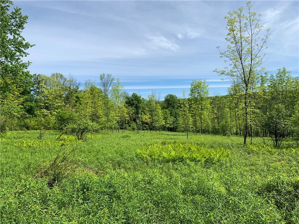 Merrill Creek Road, Marathon, New York image 18