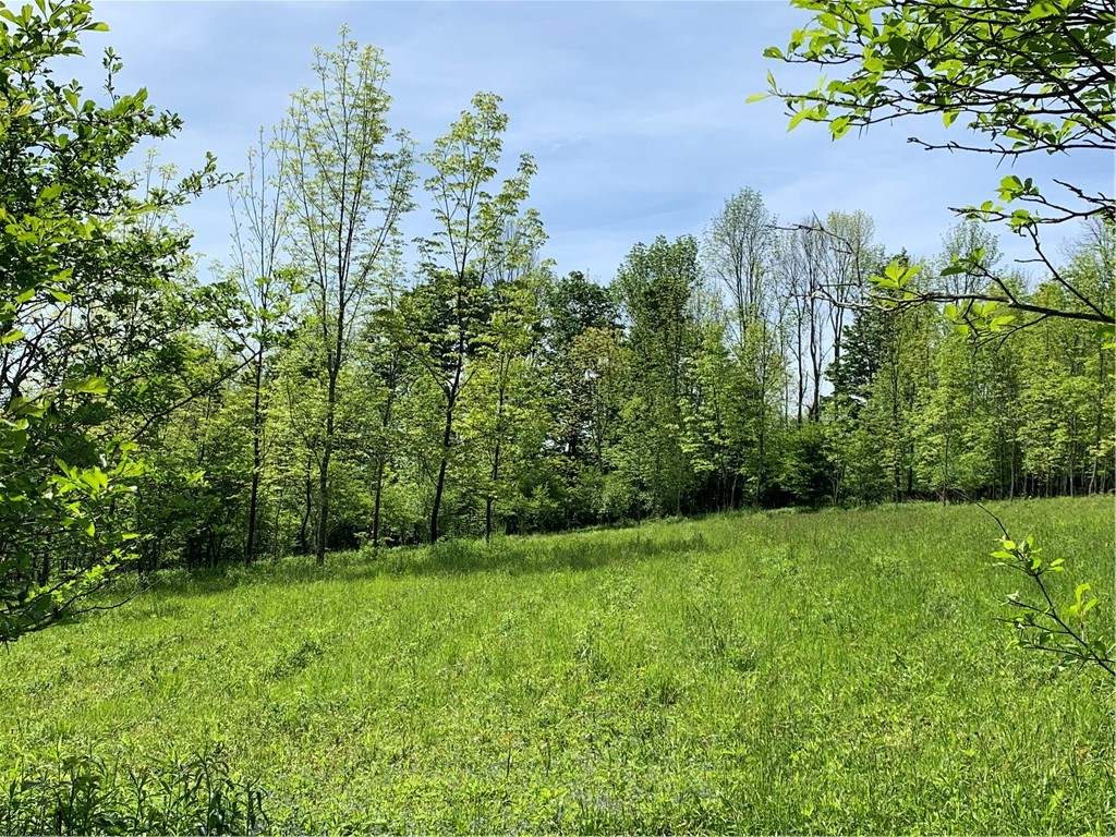 Merrill Creek Road, Marathon, New York image 15