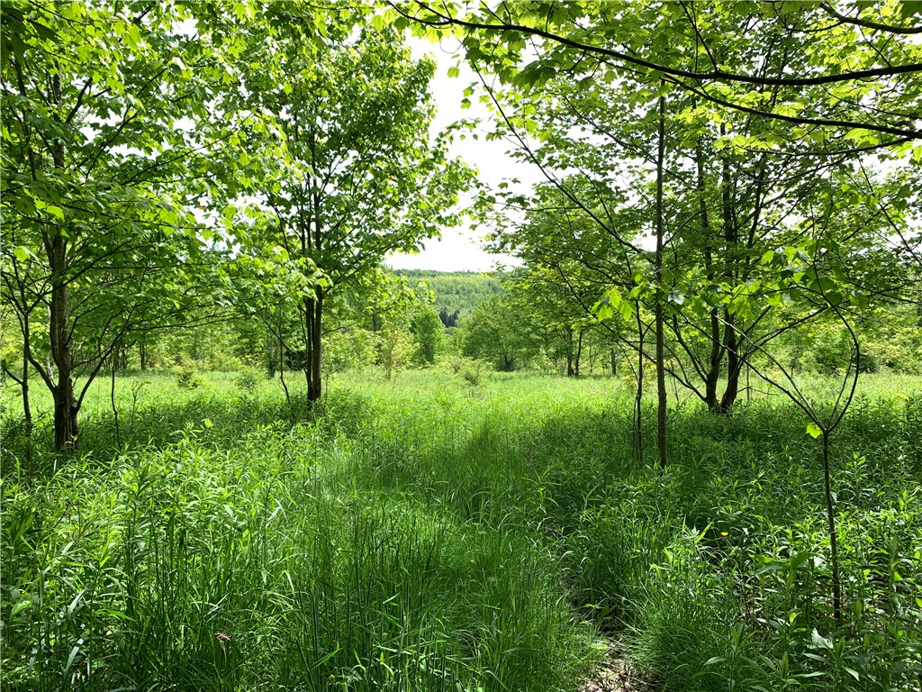 Merrill Creek Road, Marathon, New York image 30