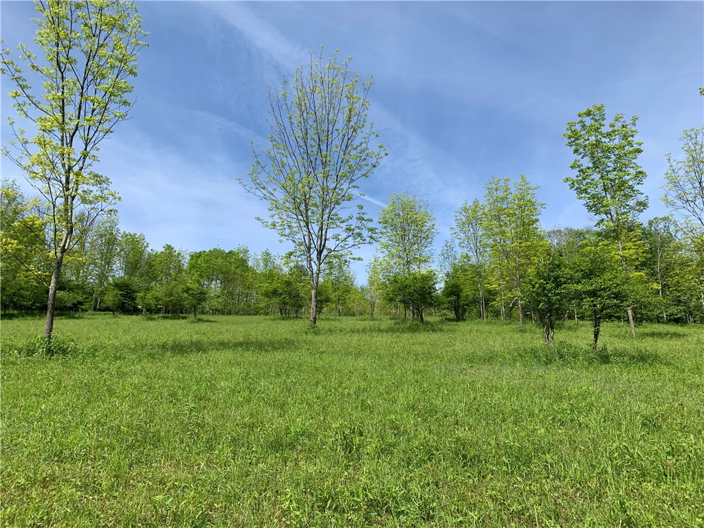 Merrill Creek Road, Marathon, New York image 11