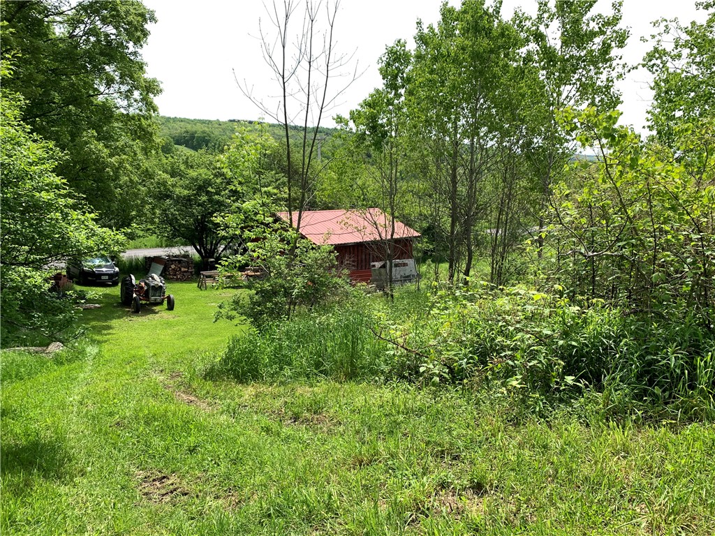 Merrill Creek Road, Marathon, New York image 3