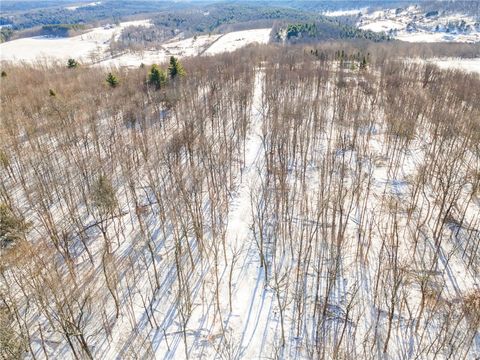 Tiny photo for Hollenbeck Road, Worcester, NY 12197 (MLS # R1654077)