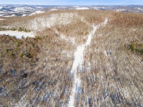 Tiny photo for Hollenbeck Road, Worcester, NY 12197 (MLS # R1654077)