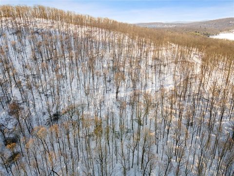 Tiny photo for Hollenbeck Road, Worcester, NY 12197 (MLS # R1654077)