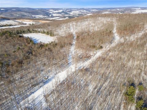 Tiny photo for Hollenbeck Road, Worcester, NY 12197 (MLS # R1654077)