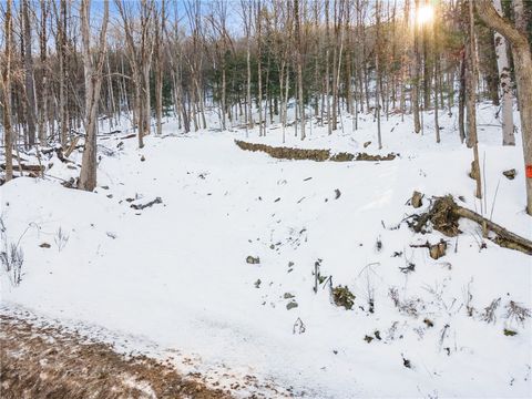 Tiny photo for Hollenbeck Road, Worcester, NY 12197 (MLS # R1654077)