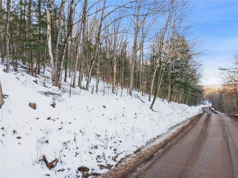 Tiny photo for Hollenbeck Road, Worcester, NY 12197 (MLS # R1654077)