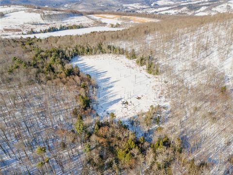 Tiny photo for Hollenbeck Road, Worcester, NY 12197 (MLS # R1654077)