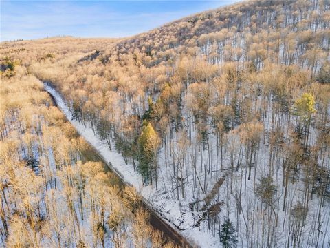 Tiny photo for Hollenbeck Road, Worcester, NY 12197 (MLS # R1654077)