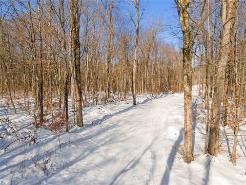 Tiny photo for Hollenbeck Road, Worcester, NY 12197 (MLS # R1654077)